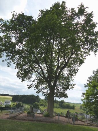 Fohren-Linden