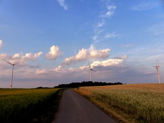 Fohren-Linden